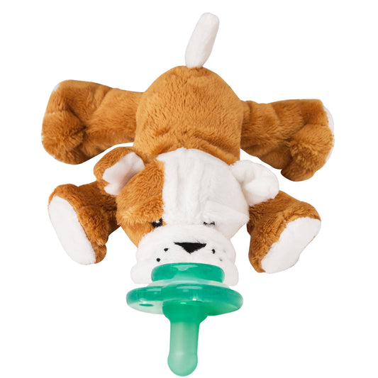 Paci-Plushies Shakies – Barkley Bull Dog