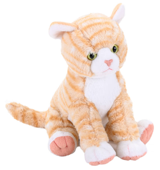 CK Orange Tabby Cat Stuffed Animal 12"